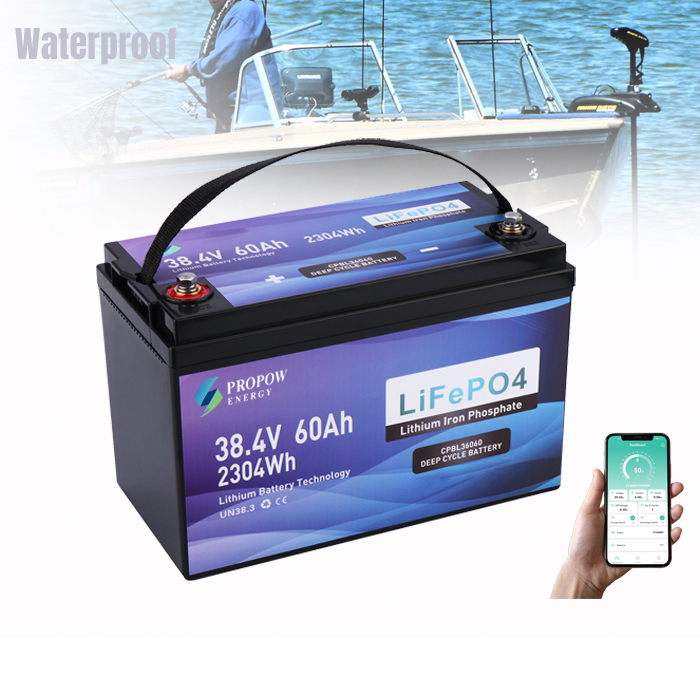 Fishing Boat Trolling Motor - 36Volt Motor Bataryaları Balıkçı Teknesi Trolling